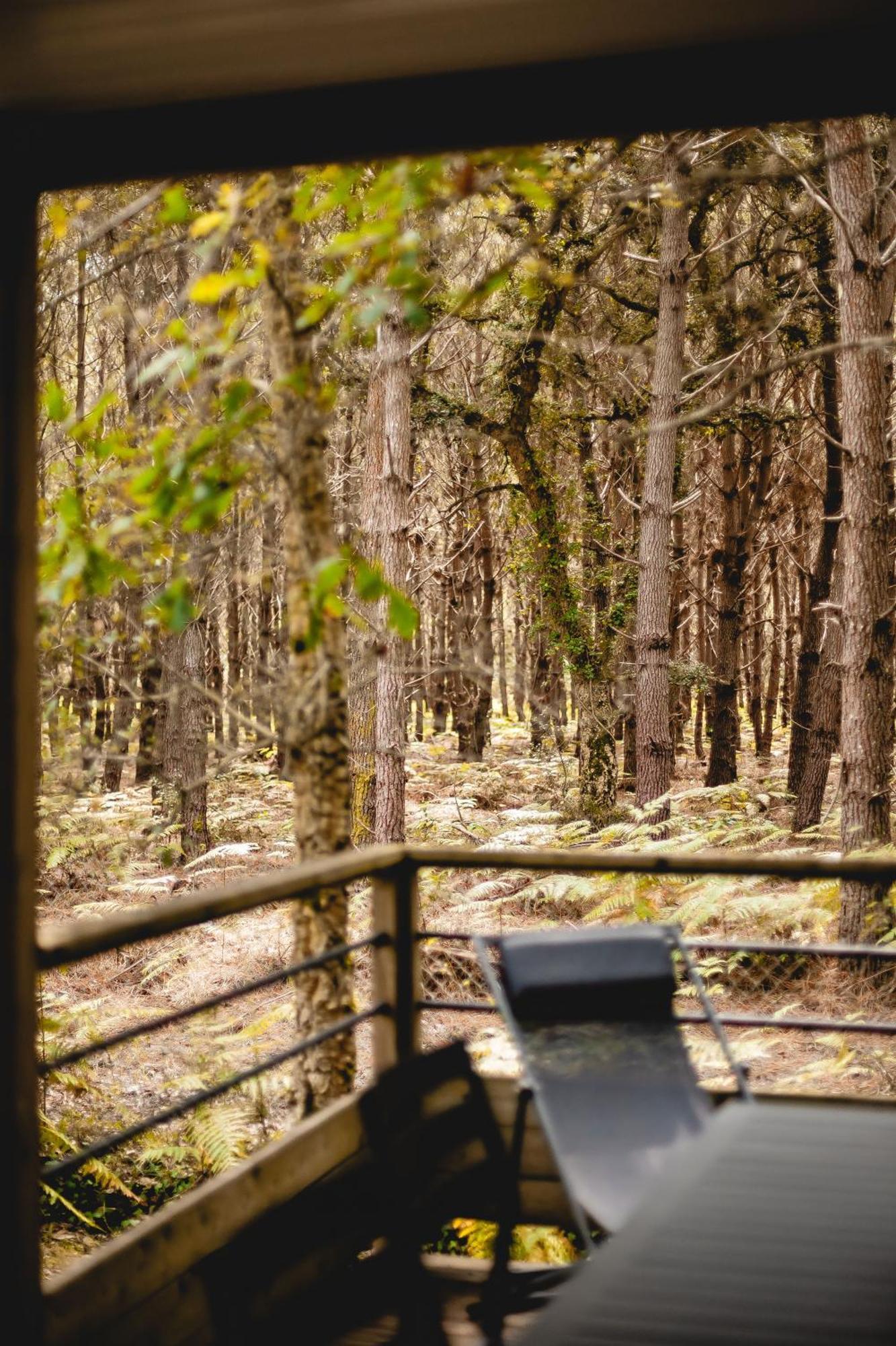 Готель Les Maritimes Сеньосс Номер фото